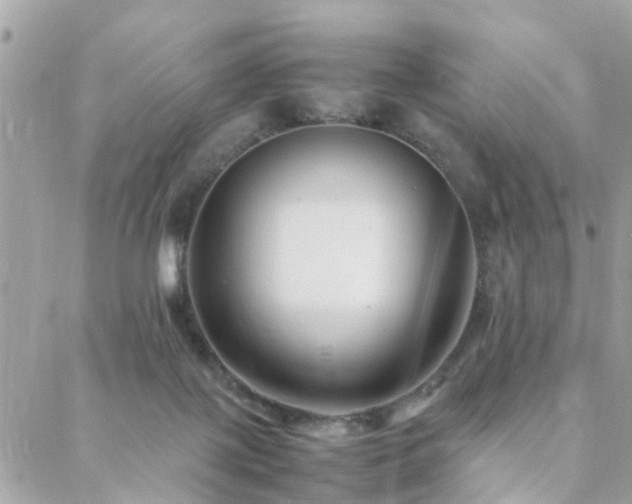 X0000088360075200705221041