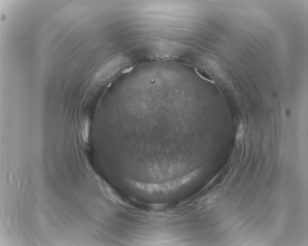 X0000088360076200705221041