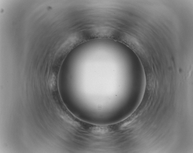 X0000088360077200705221041