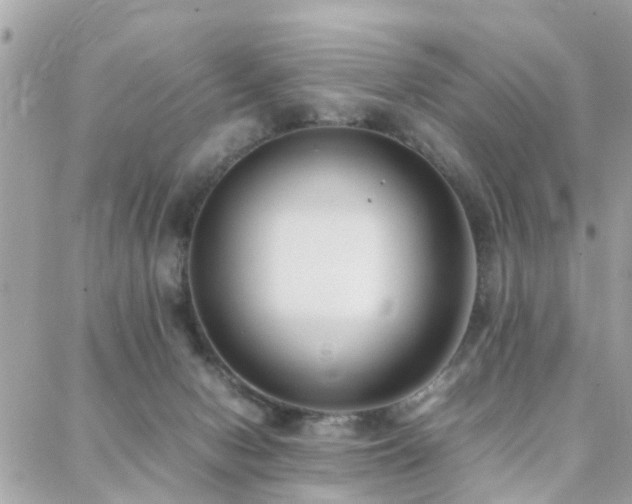 X0000088360078200705221042