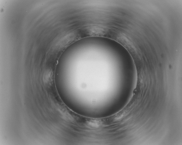 X0000088360079200705221042