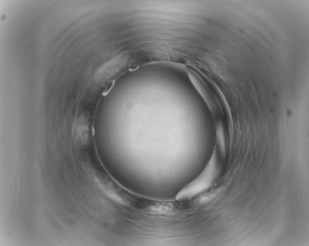 X0000088360080200705221042