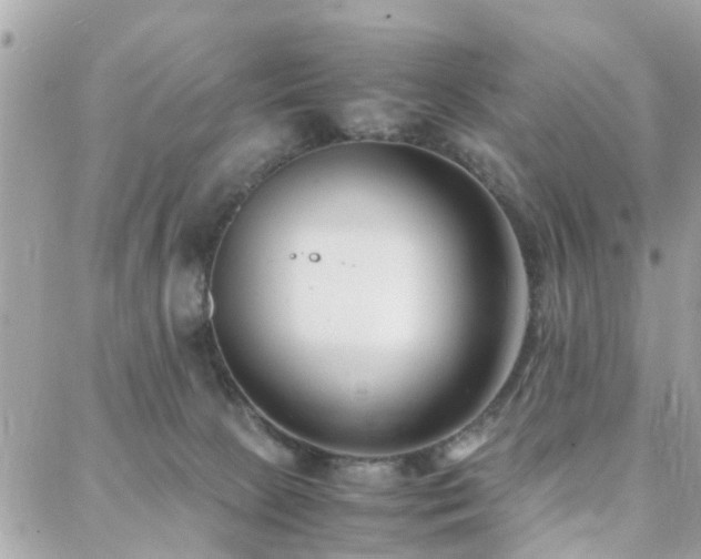 X0000088360081200705221042