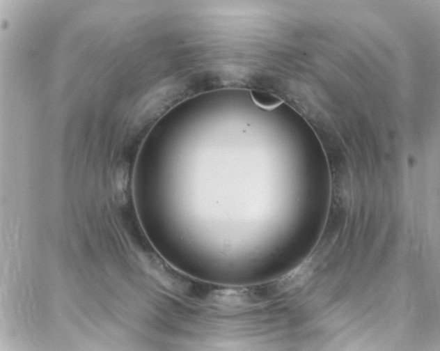 X0000088360082200705221042