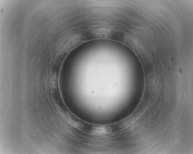 X0000088360083200705221042