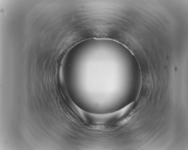 X0000088360084200705221042