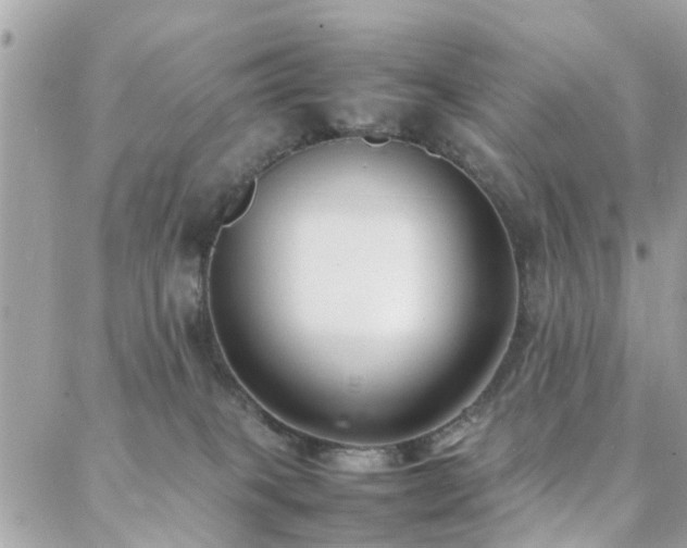 X0000088360085200705221042