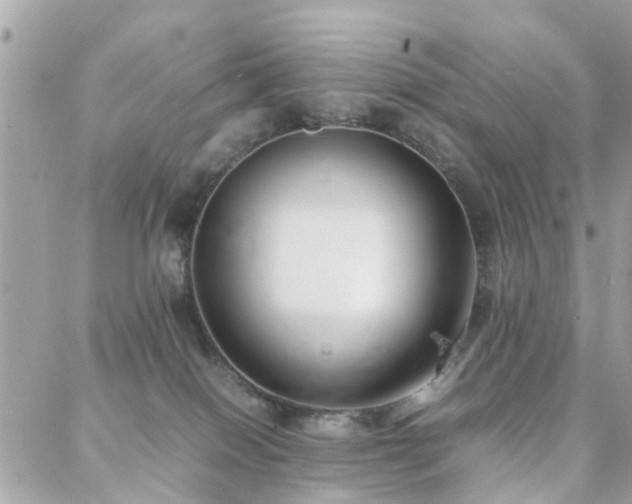 X0000088360086200705221042