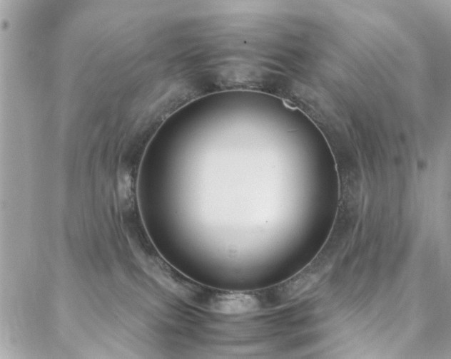 X0000088360087200705221042