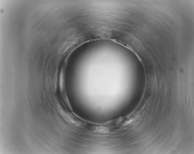 X0000088360088200705221042