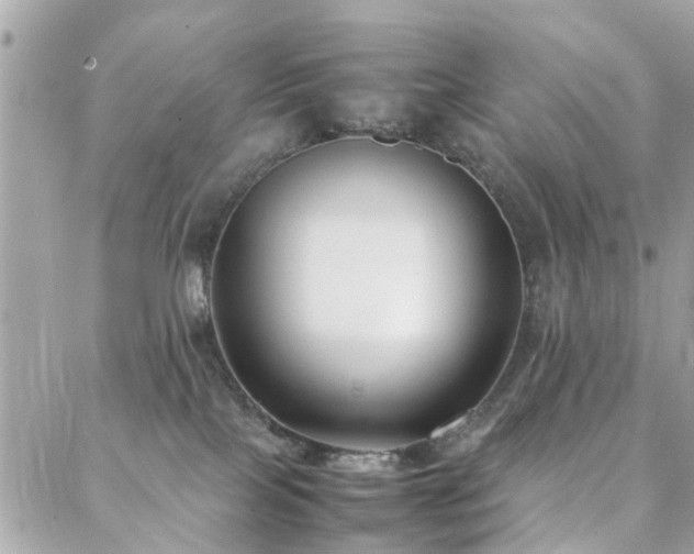 X0000088360089200705221042