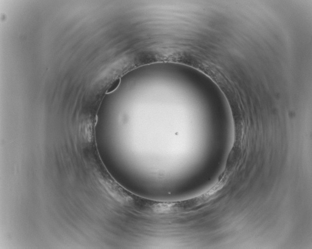 X0000088360090200705221042