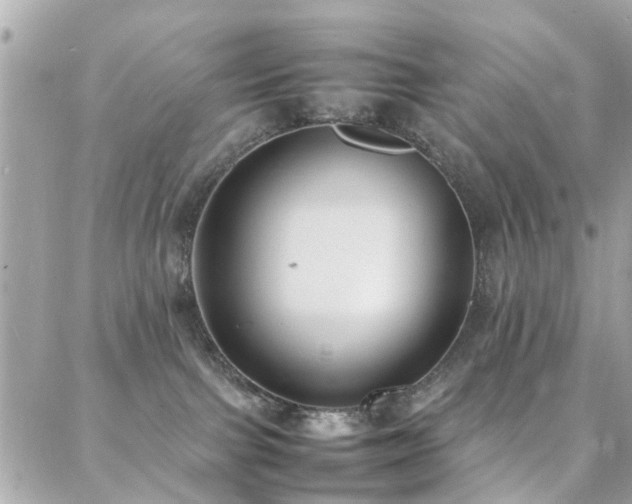 X0000088360091200705221042