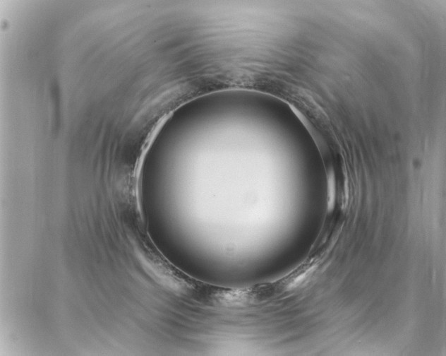 X0000088360092200705221042