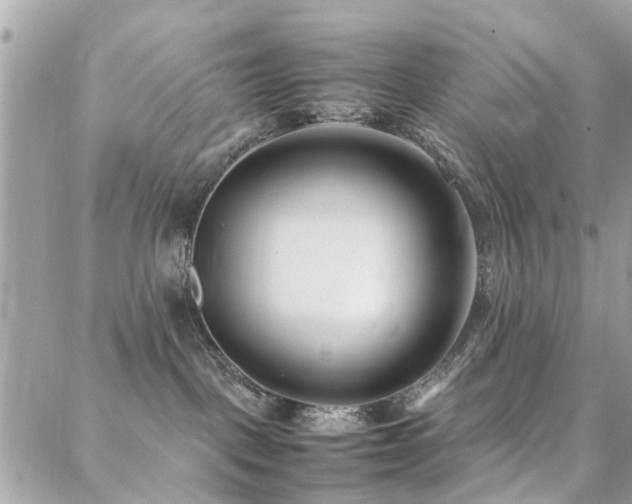 X0000088360093200705221042