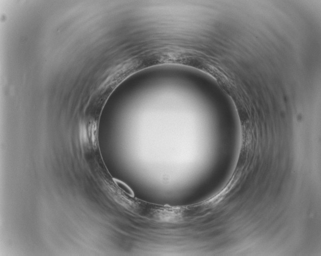 X0000088360094200705221042