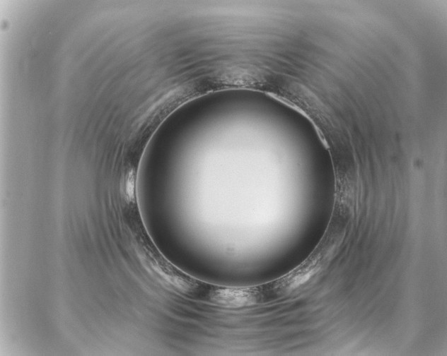 X0000088360095200705221042