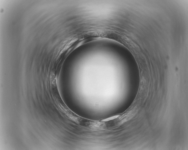 X0000088360096200705221042