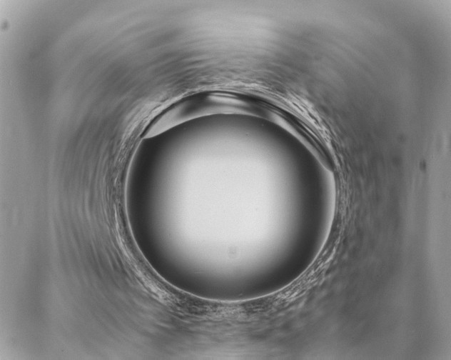 X0000088360097200705221041