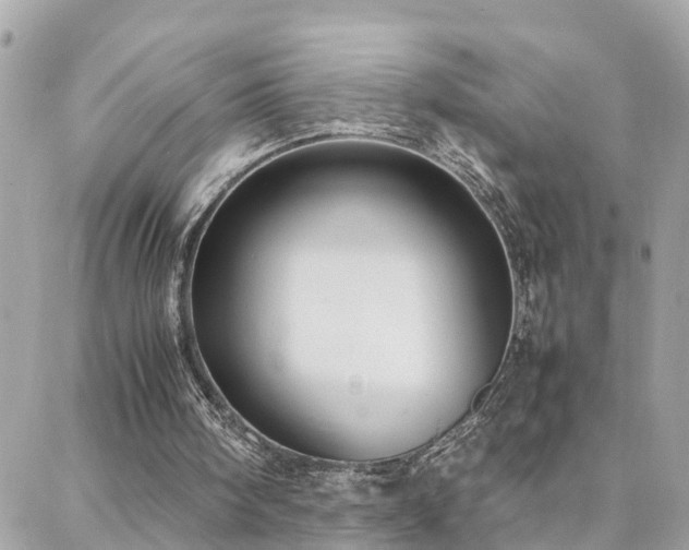 X0000088360098200705221041