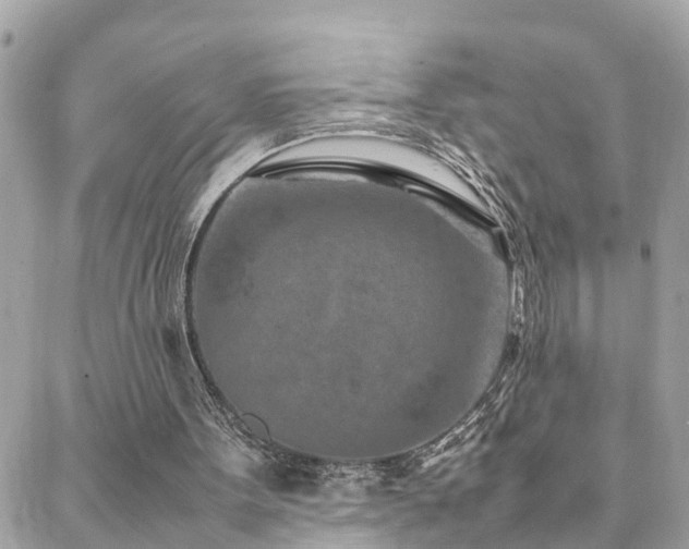 X0000088360099200705221041