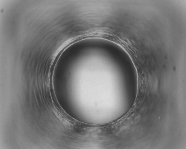 X0000088360100200705221041