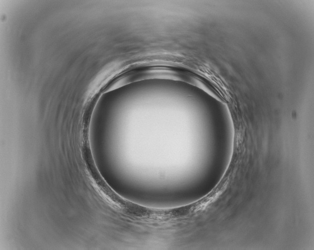 X0000088360101200705221041