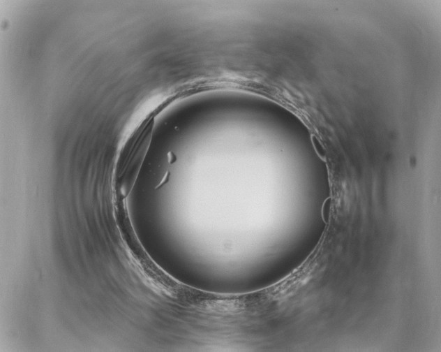 X0000088360102200705221041