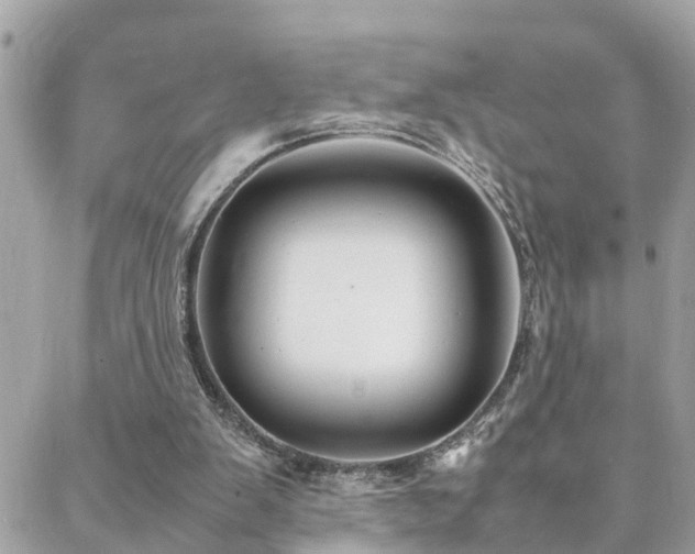 X0000088360103200705221041