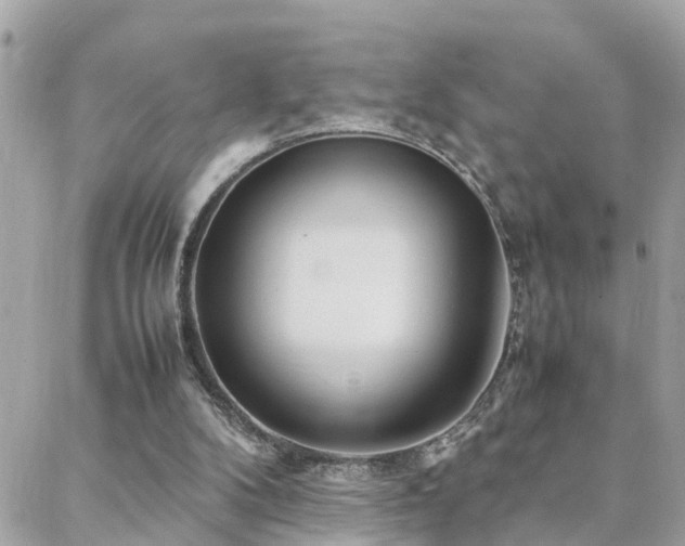 X0000088360104200705221041