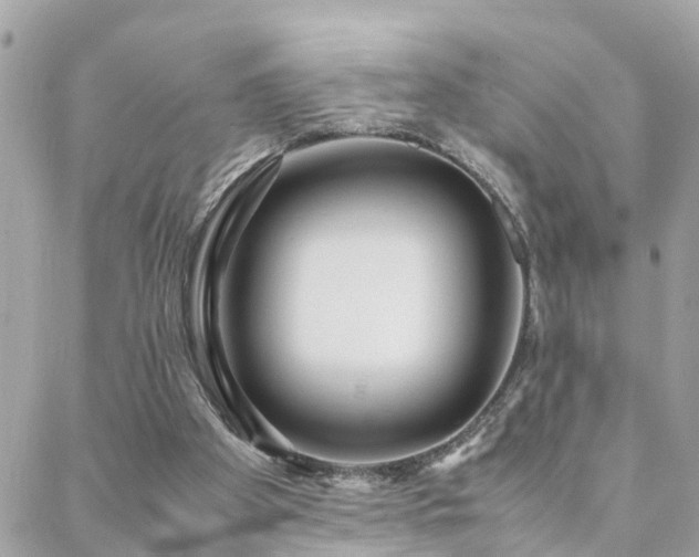 X0000088360105200705221041