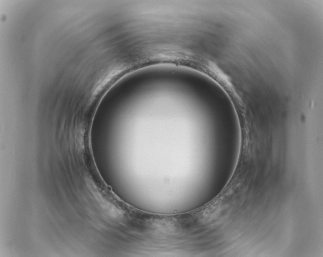 X0000088360106200705221041