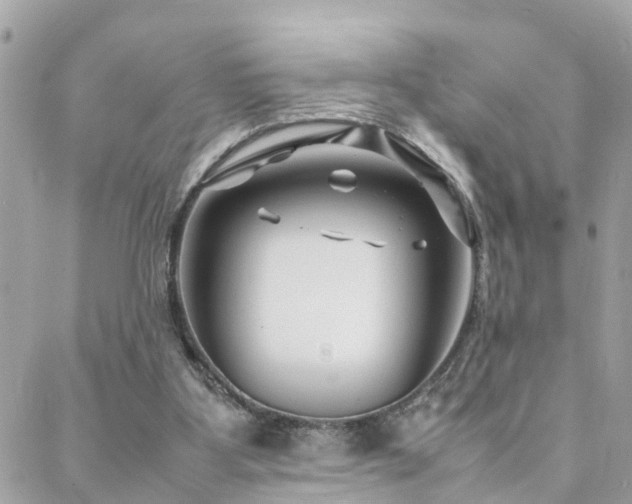 X0000088360107200705221041