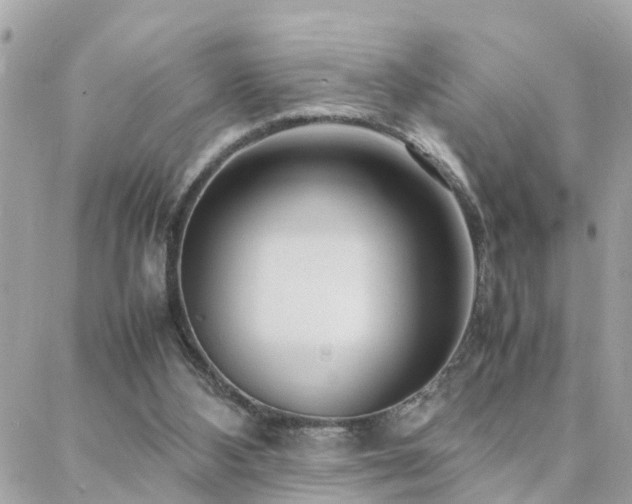 X0000088360108200705221041