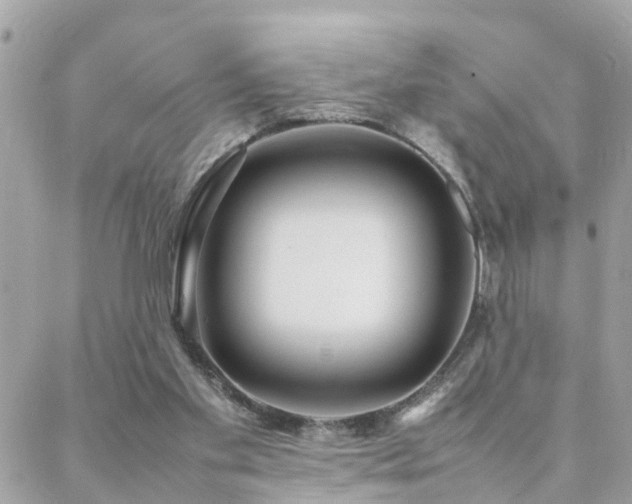 X0000088360109200705221041