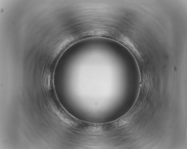 X0000088360110200705221041