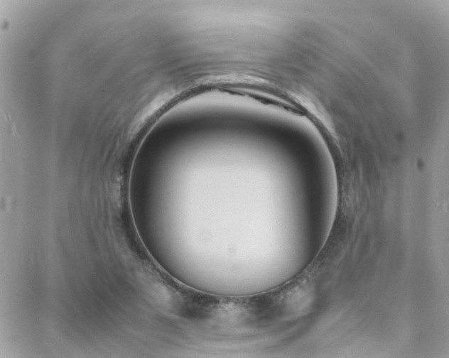 X0000088360111200705221041