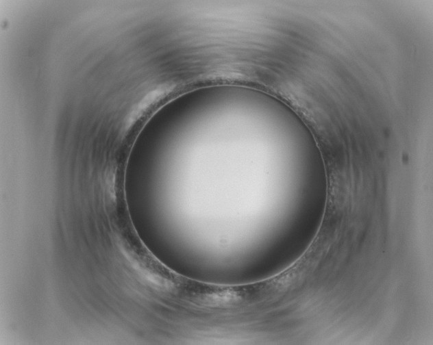 X0000088360112200705221041