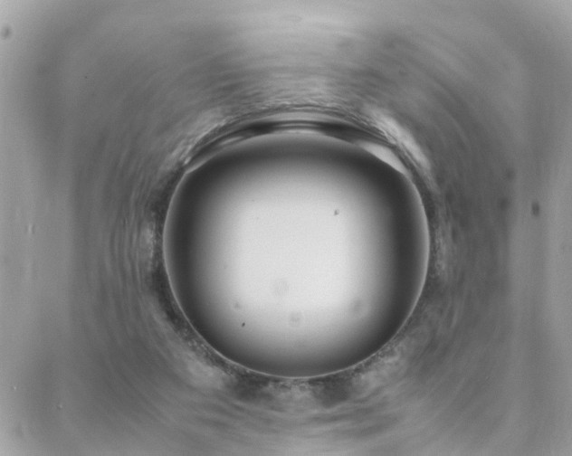 X0000088360113200705221041