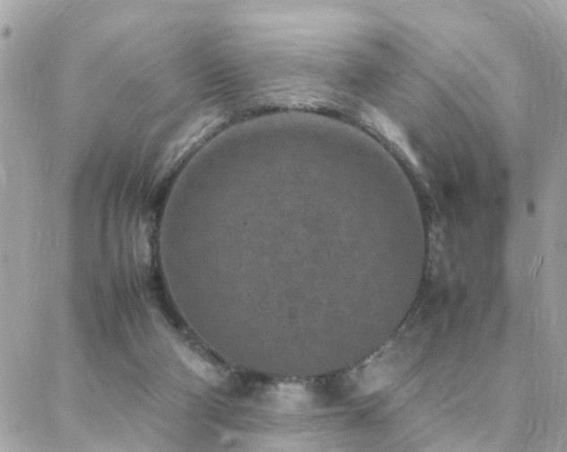 X0000088360114200705221041