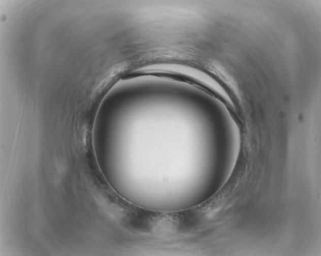 X0000088360115200705221041