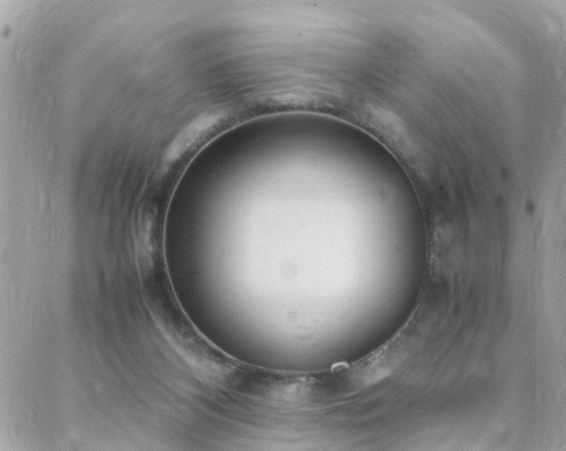 X0000088360116200705221041