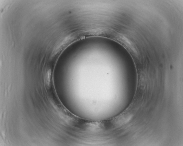 X0000088360118200705221041