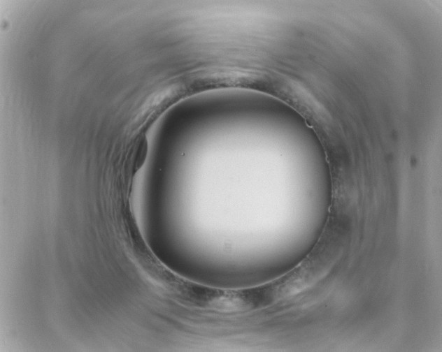 X0000088360119200705221041