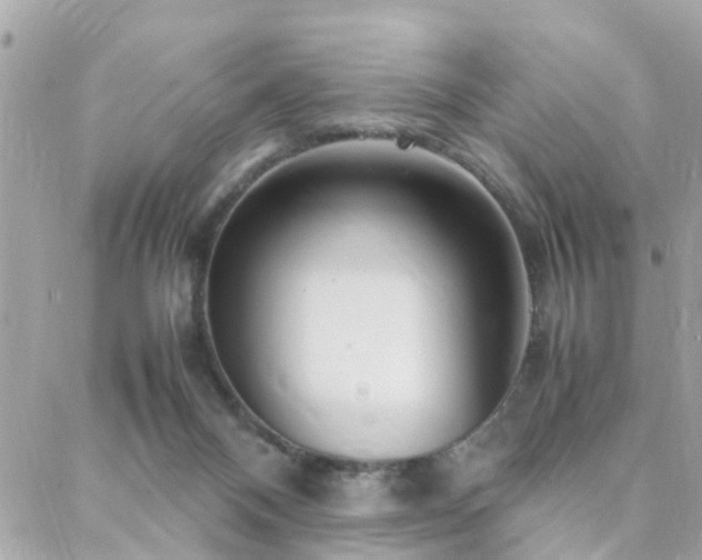 X0000088360120200705221041