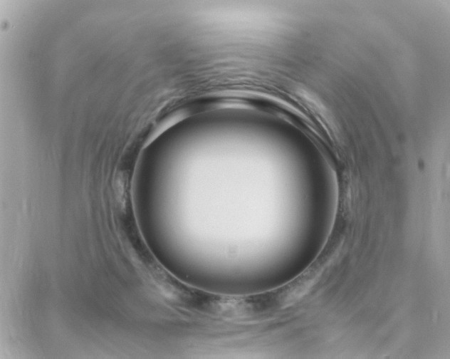 X0000088360121200705221041