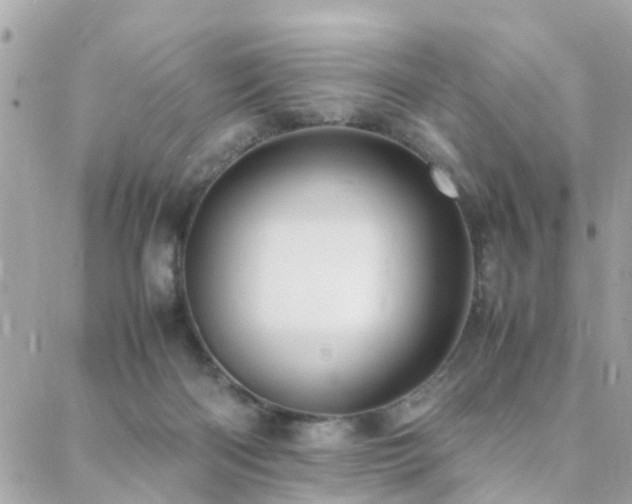 X0000088360122200705221041