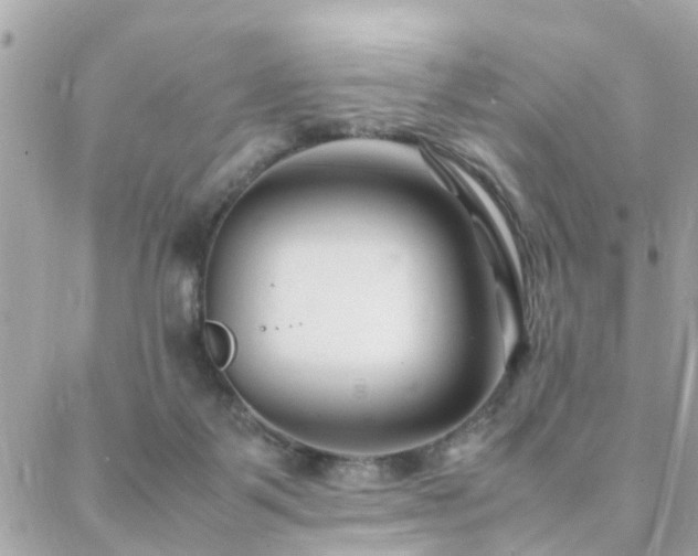 X0000088360123200705221041