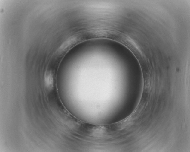 X0000088360124200705221041