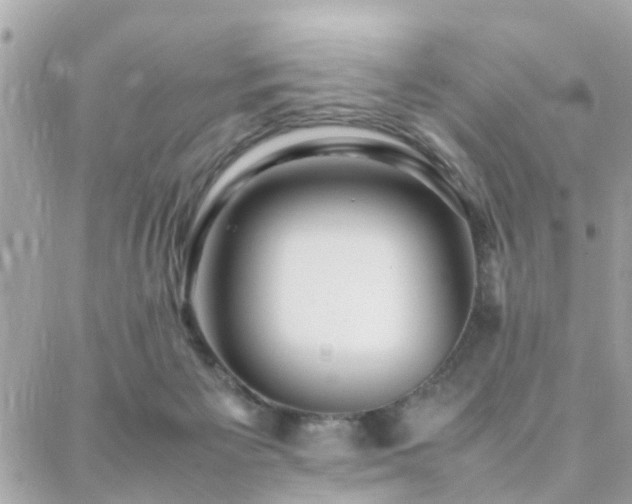 X0000088360125200705221041